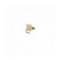 BH Nuke Egg Oregon ConeHeadeese