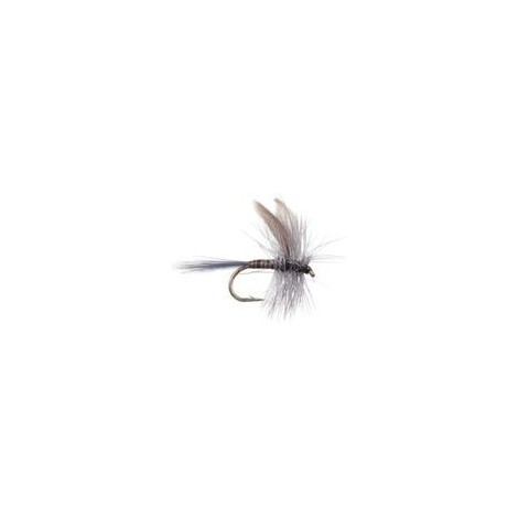 Blue Quill