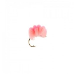 Blood Line Peachy King Baby Pink