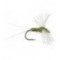 Blue Winged Olive Spinner