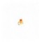 Micro Egg Light Roe