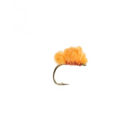 Sucker Spawn Orange