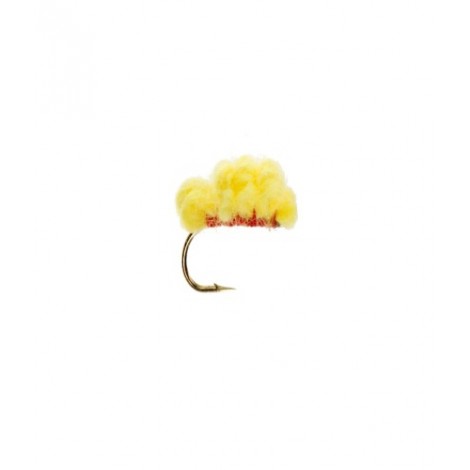 Sucker Spawn Yellow