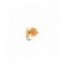 Unreal Egg Light Roe 1 1