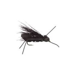 Charlie Boy Hopper Black