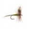 Adams Olive