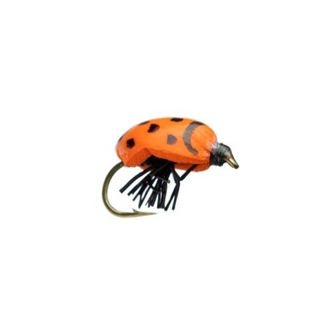 KR Lady Bug