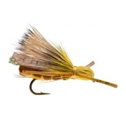 Rogue Foam Stone Golden