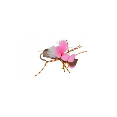 Taylors Fat Albert Pink
