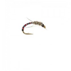 Anorexic Buzzer Hares Ear