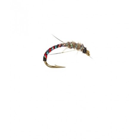 Anorexic Buzzer Hares Ear