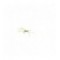 Apps Bloodworm Olive