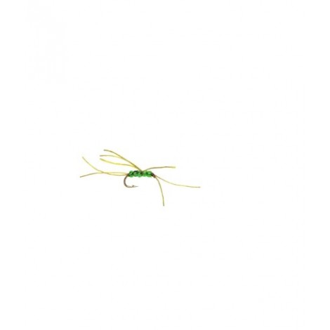 Apps Bloodworm Olive