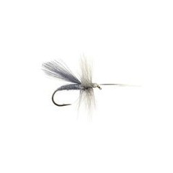 Caddis Dun