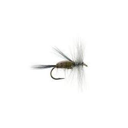 Caddis Gray