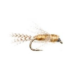 Birds Nest Light Cahill