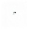 Buzzer Black Adult