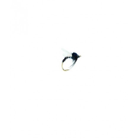 Buzzer Black Adult