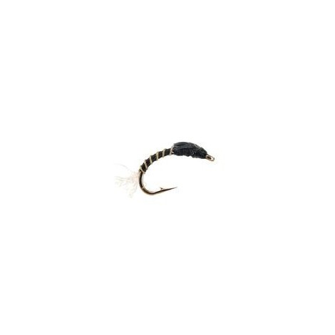 Buzzer Mosquito