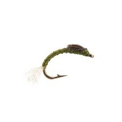 Buzzer Olive