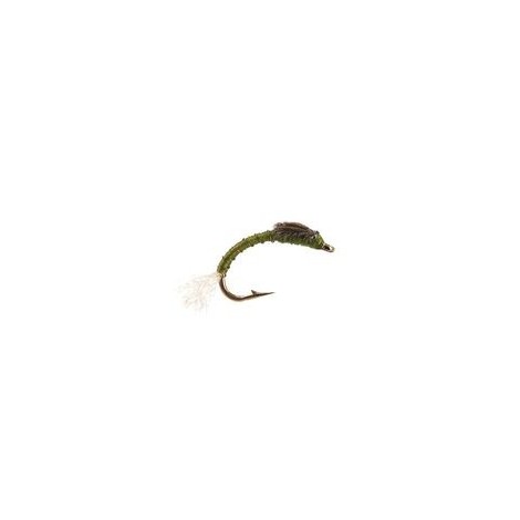 Buzzer Olive