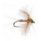 CDC Biot Spinner Callibaetis