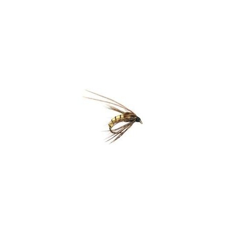 Caddis Pupa Cream