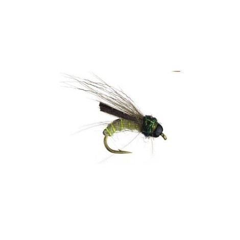 Caddis Trophic Pupa Olive