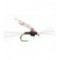 Chironomid Pupa Black