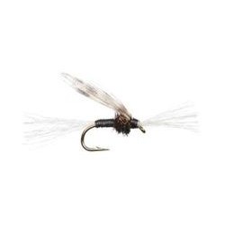 Chironomid Pupa Black