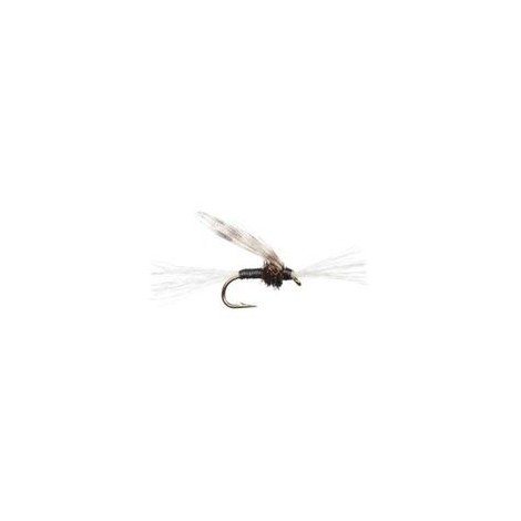 Chironomid Pupa Black