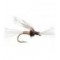 Chironomid Pupa Brown