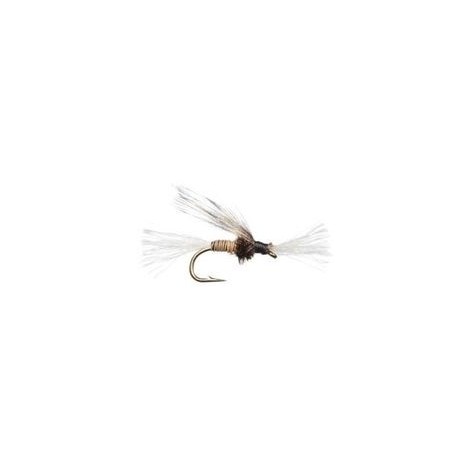 Chironomid Pupa Brown