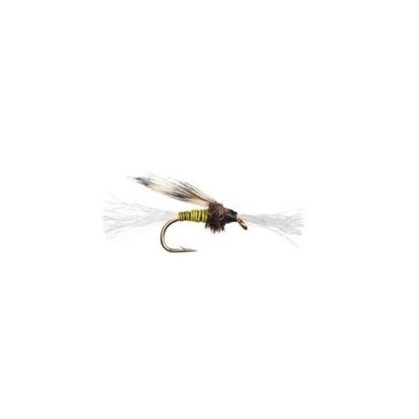 Chironomid Pupa Olive