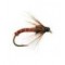 Clasic Nymph Brown Ribbed