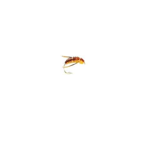 Corixa Air Bubble