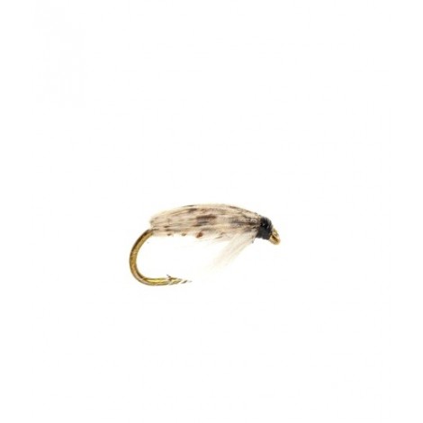 Corixa