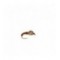 Cove Pheasant tail