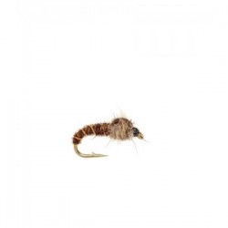 Cove Pheasant tail
