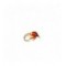 Cream Sedge pupae