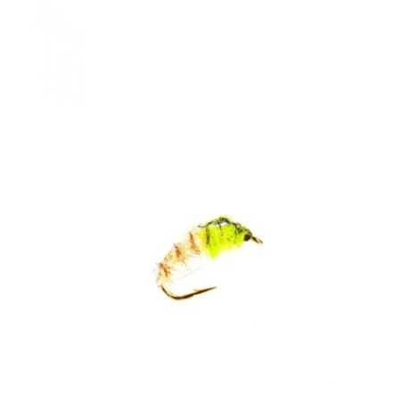 Czech Nymph Green