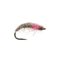 Czech Nymph