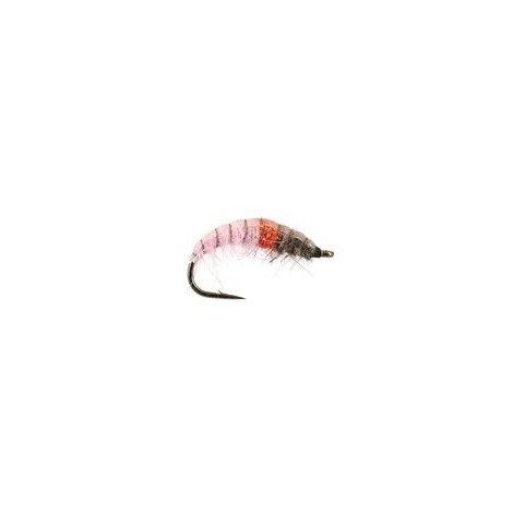 Czech Pink Lady