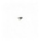 Diawl Bach Black