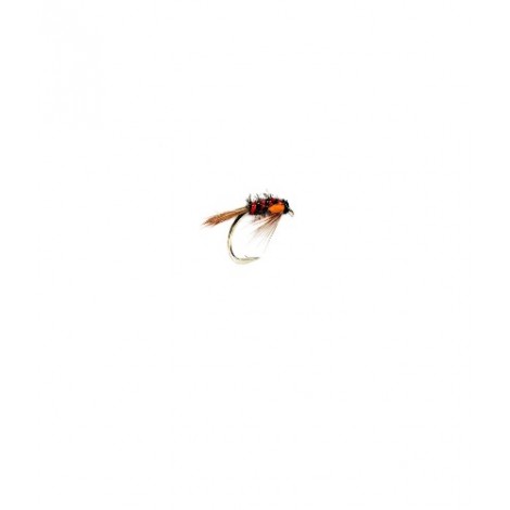 Diawl bach Holographic