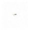 Diawl Bach Pearl
