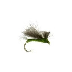 CDC Caddis Olive