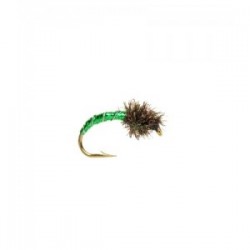 Disco Midge Green