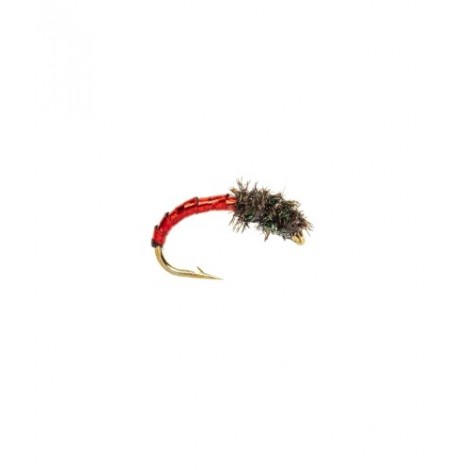Disco Midge Red