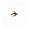 Duck Fly Orange Thorax